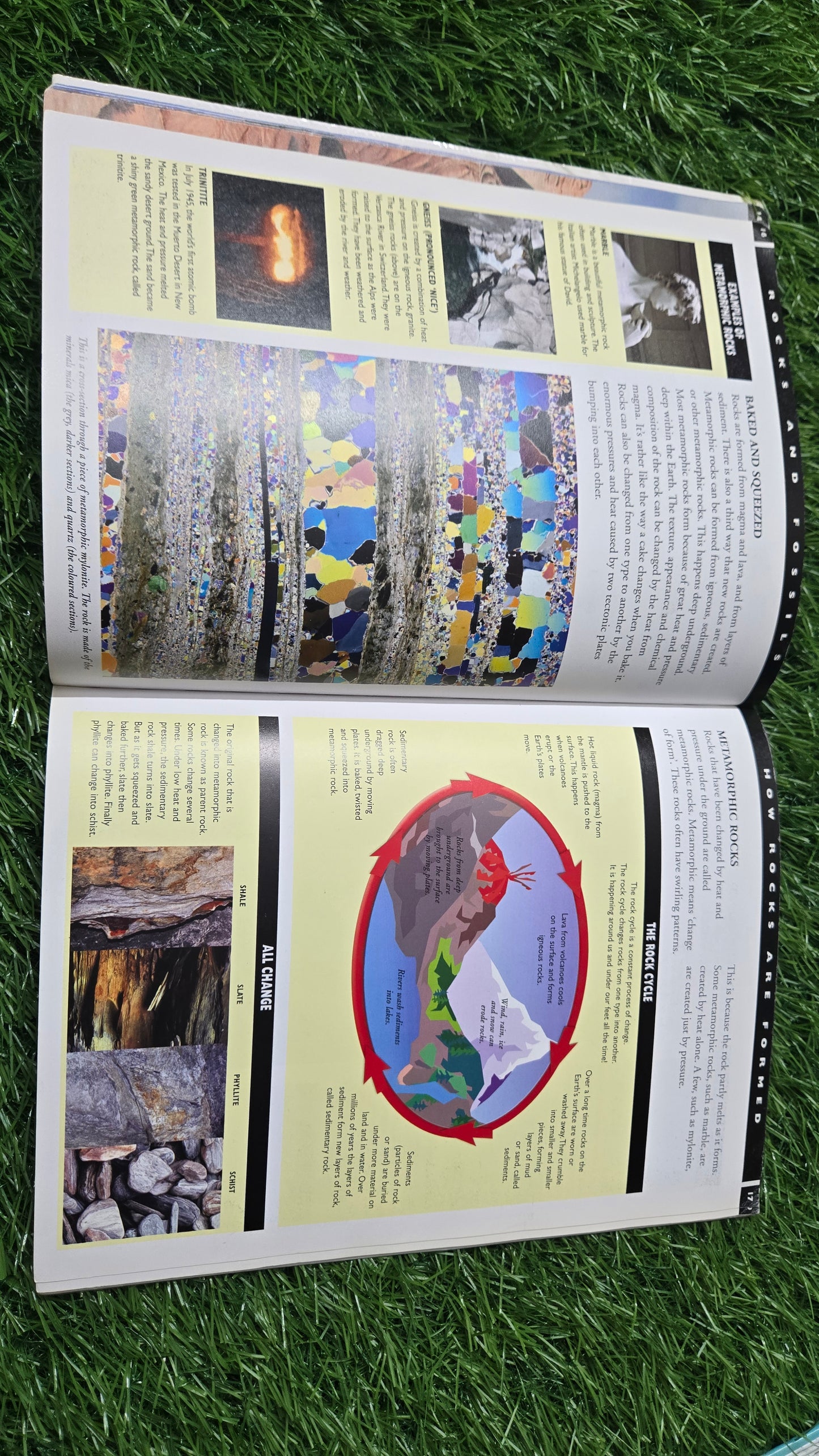 Planet Earth: Rocks and Fossils by Jim Pipe.