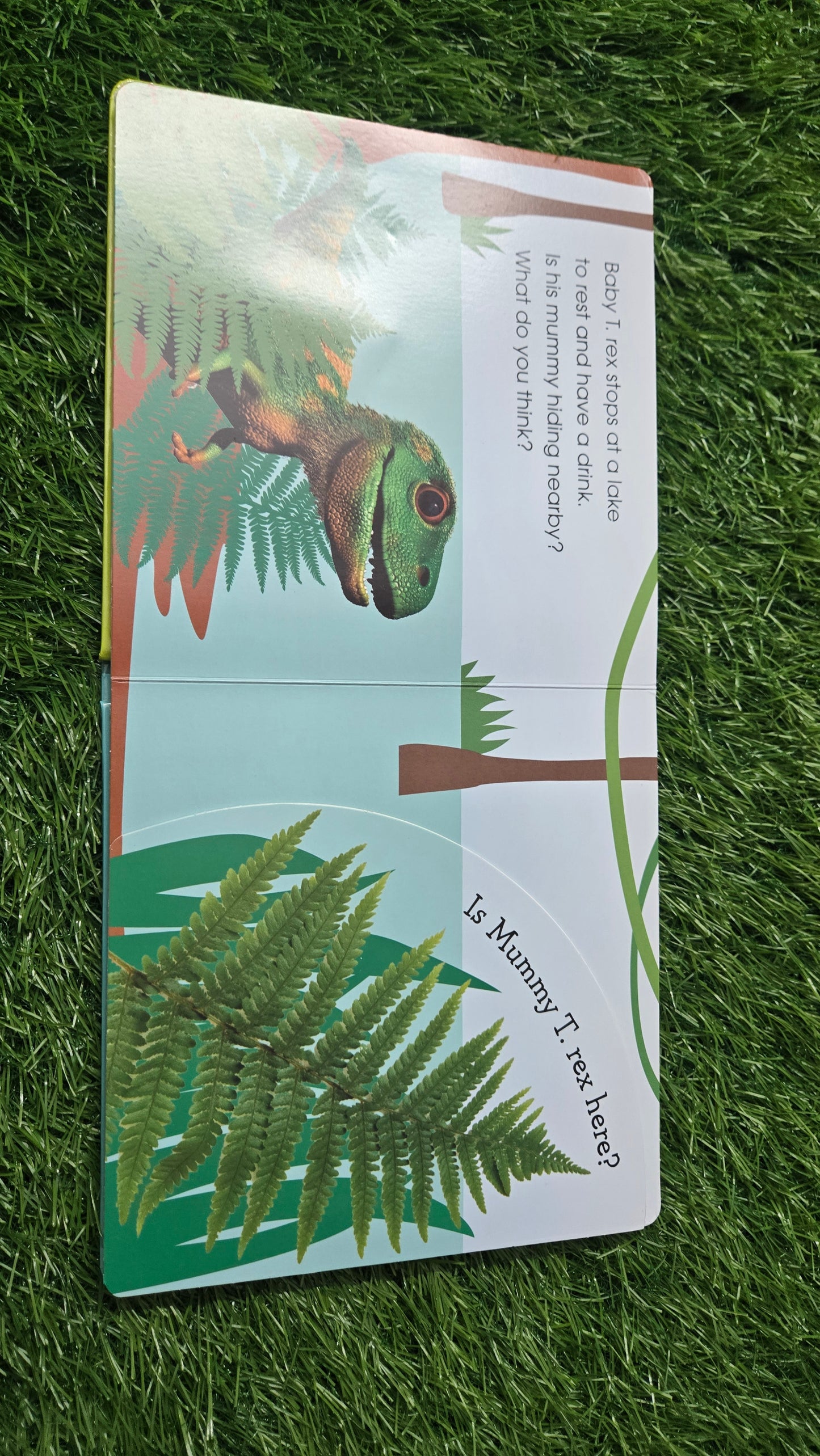 Pop-Up Peekaboo! Baby Dinosaur by DK