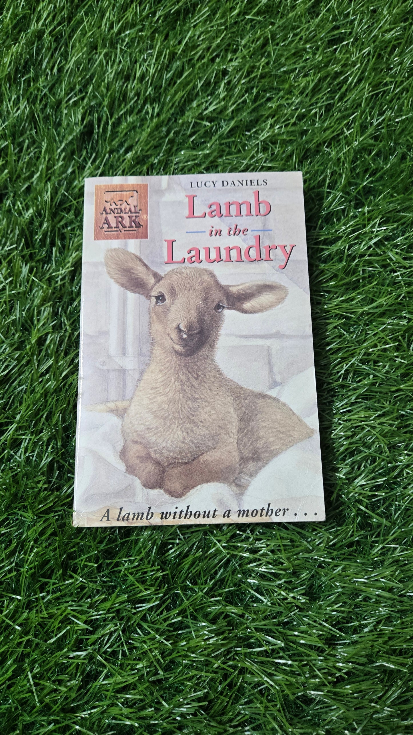 Lamb in the Laundry by Lucy Daniels