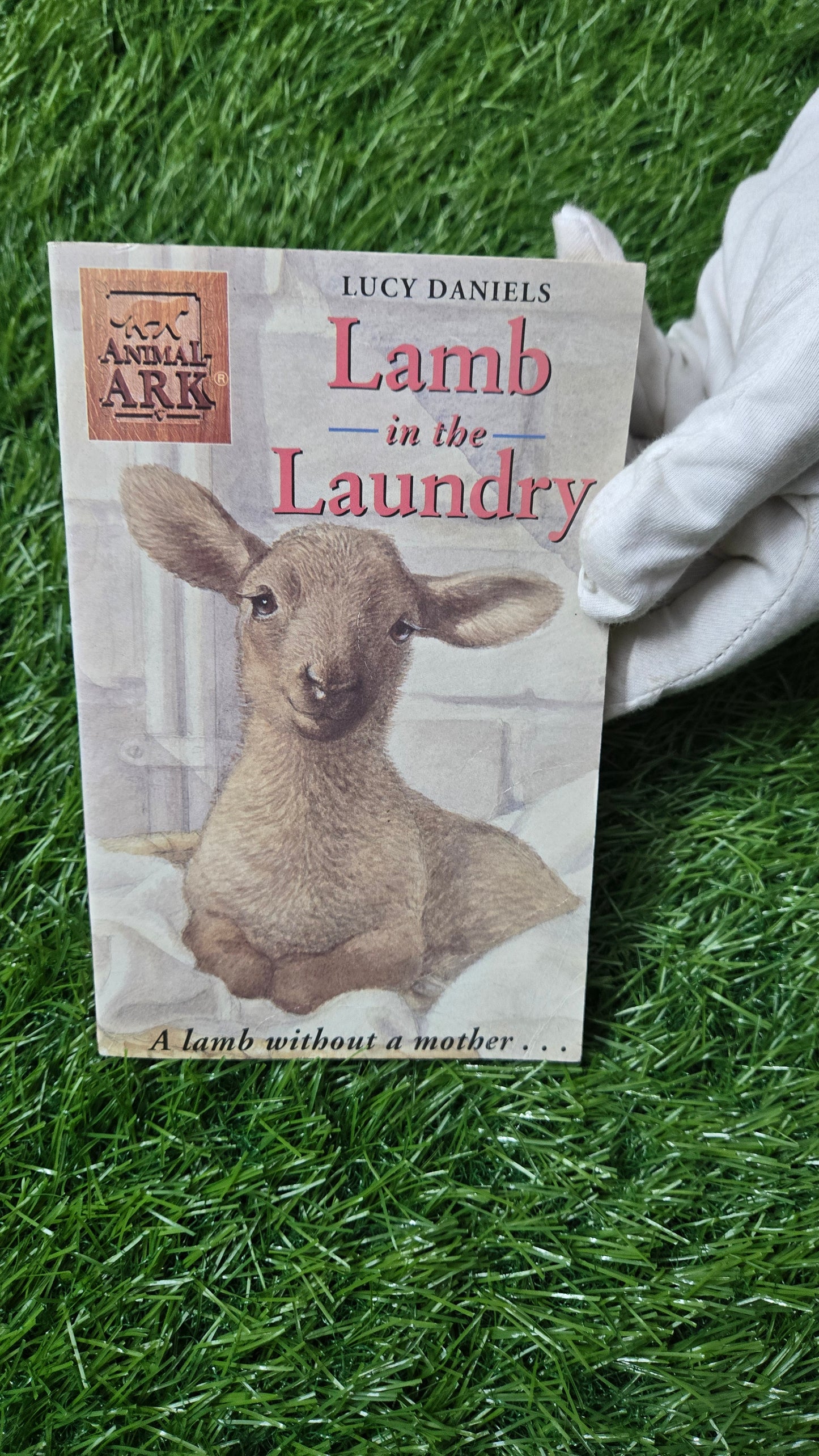 Lamb in the Laundry by Lucy Daniels
