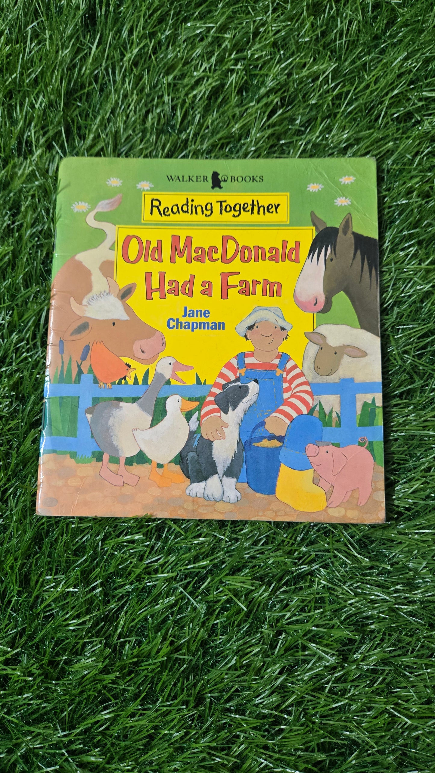 Old Macdonald Had a Farm (Reading Together Level 2) by Jane Chapman