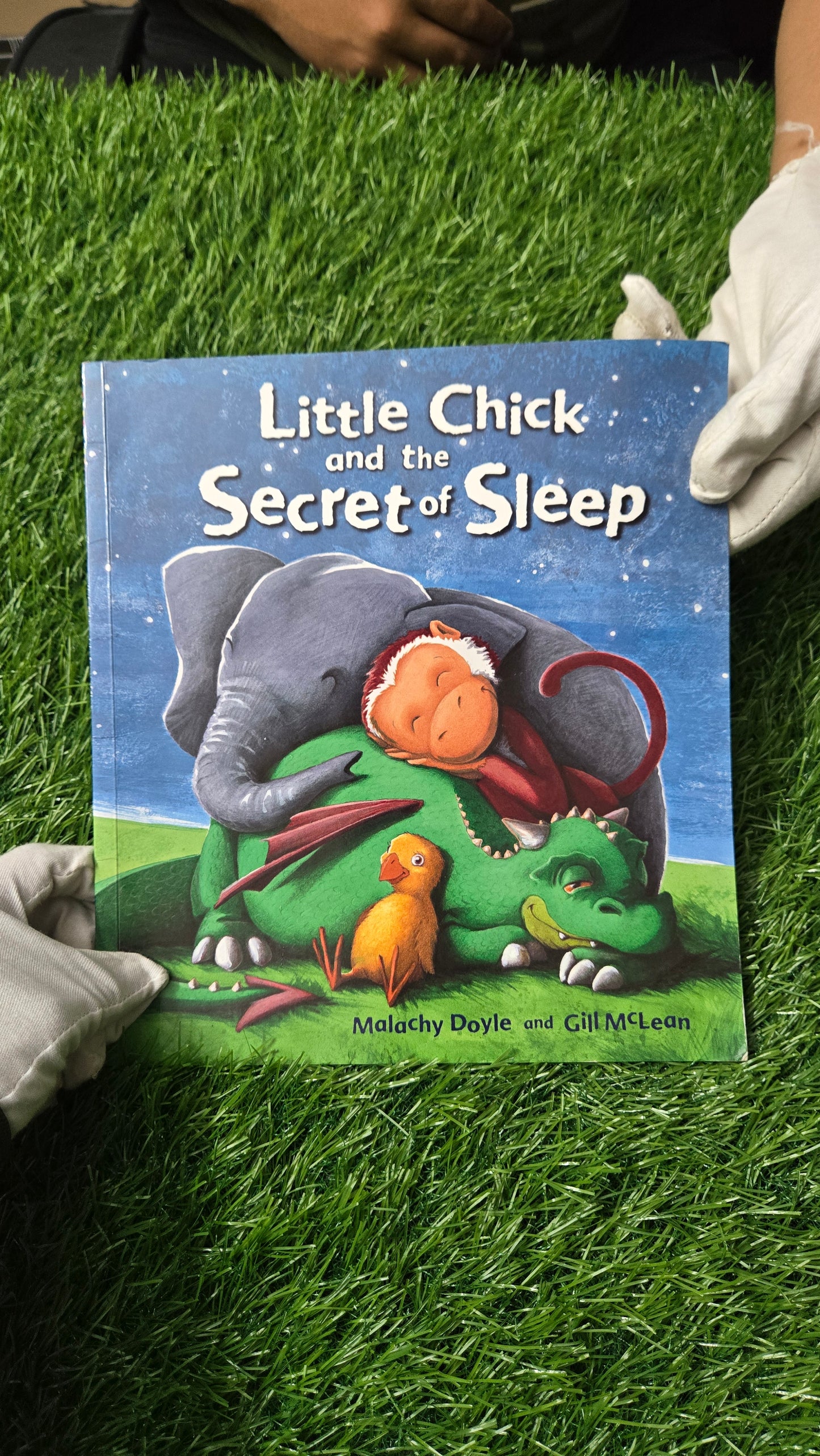 Little Chick and the Secret of Sleep by Malachy Doyle