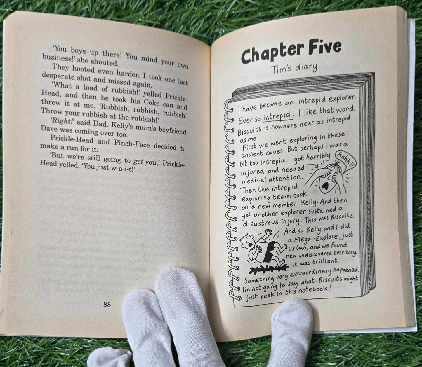 Buried Alive By Jacqueline Wilson