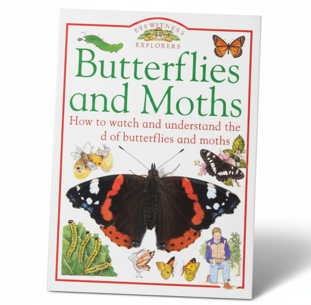 Butterflies and Moths (Eyewitness Explorers)