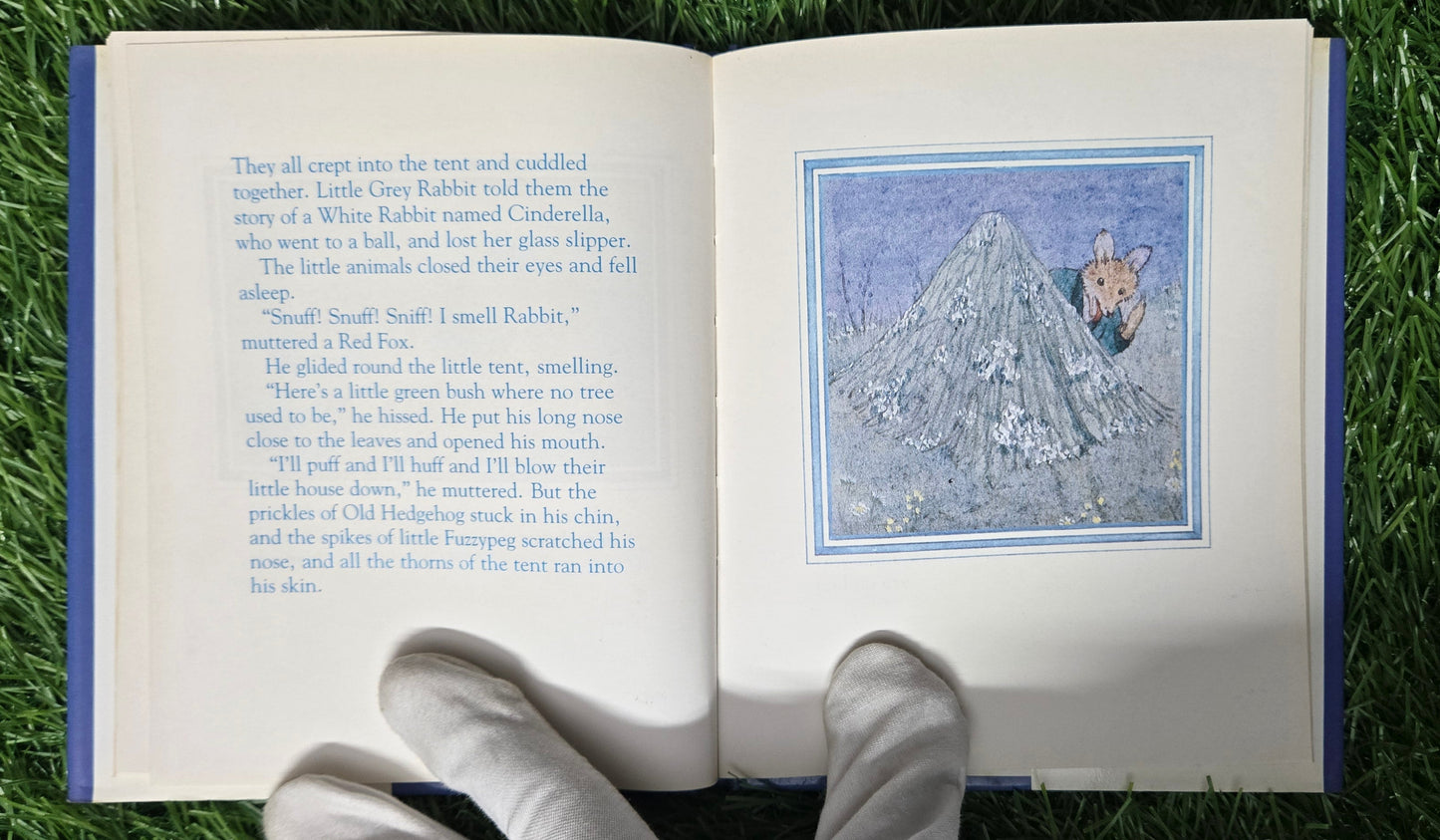 Moldy Warp the Mole By Alison Uttley