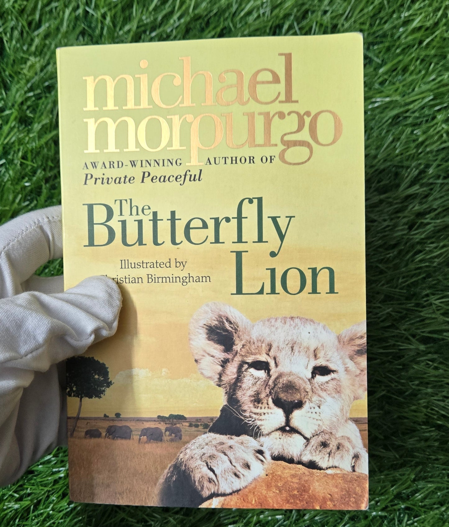 The Butterfly Lion By Michael Morpurgo