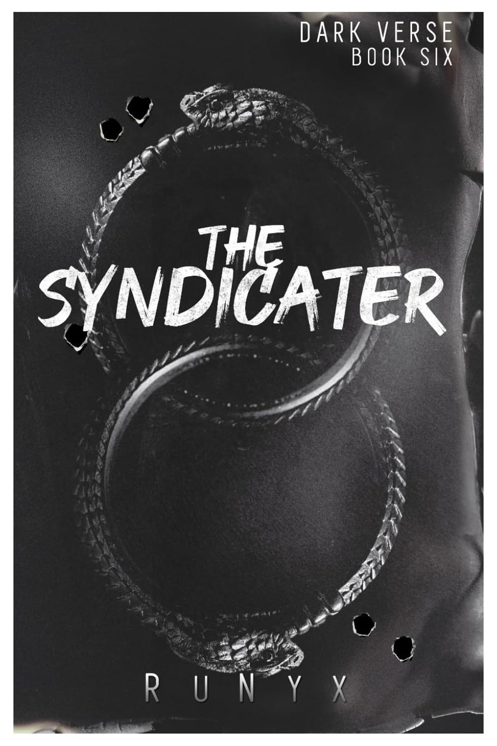 Dark Verse Series Books Set 6 Book Combo By RuNyx (HARDCOVER)