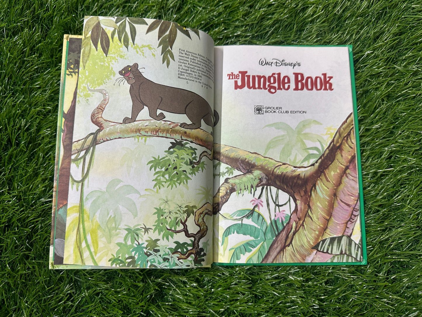 Walt Disney's The Jungle Book