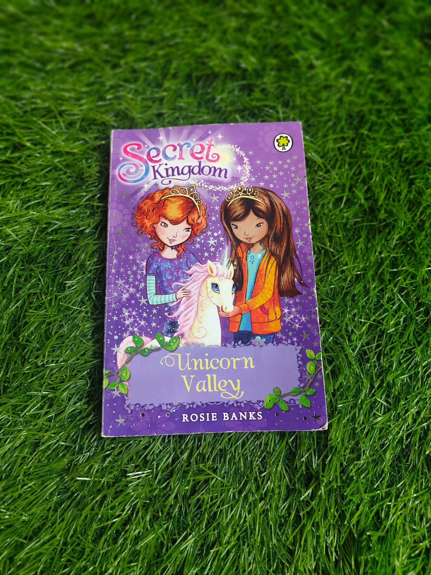 SECRET KINGDOM: UNICORN VALLEY by Rosie Banks