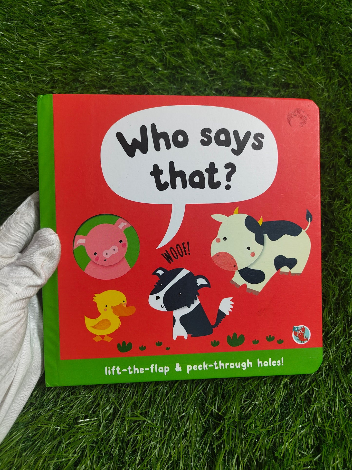 Who Says That? Lift-the-flap & peek-through holes!