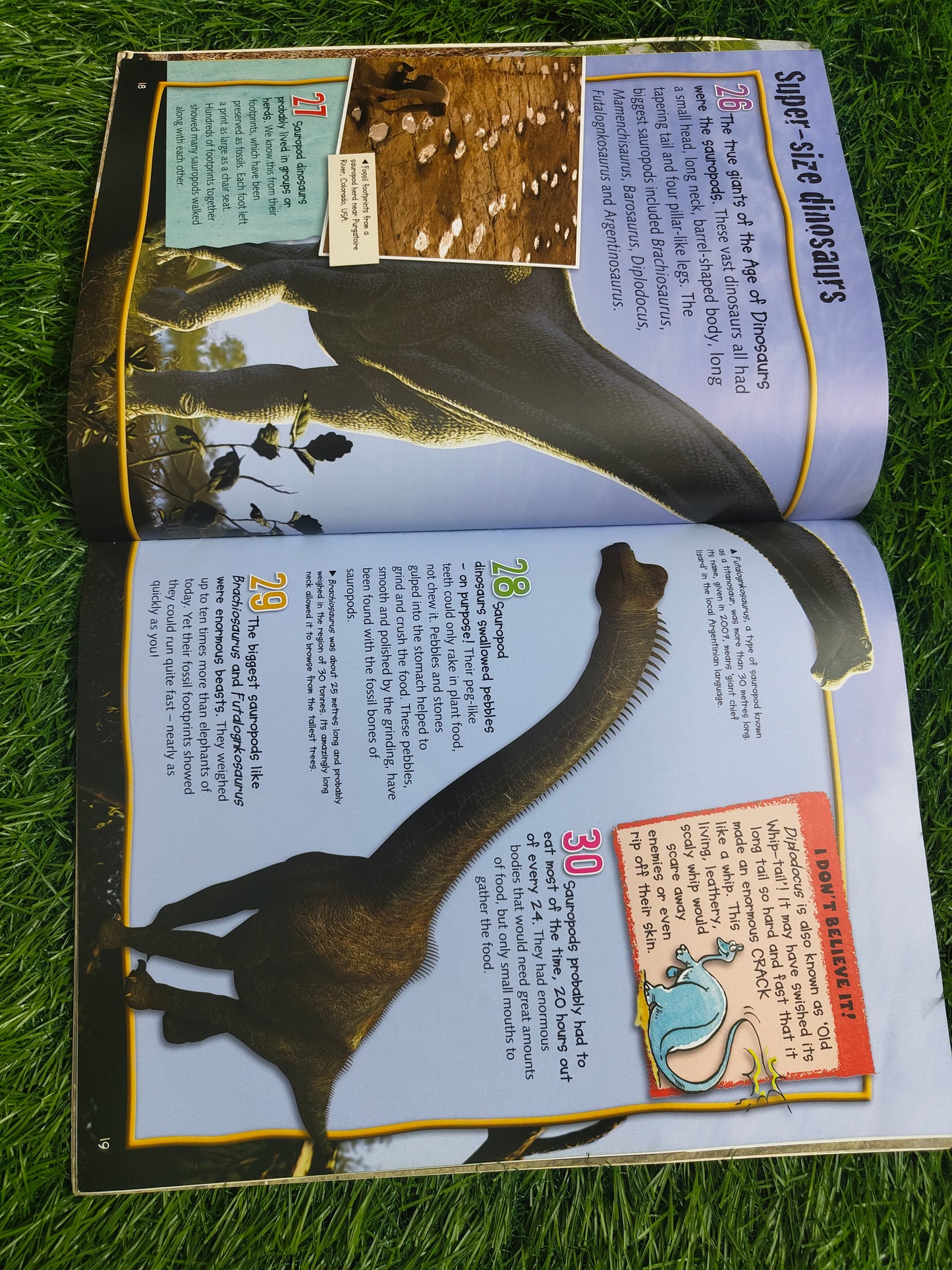 100 Facts Dinosaurs by Steve Parker