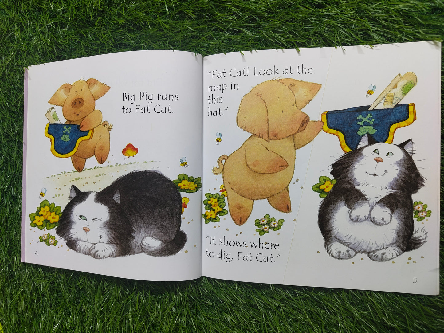 Phonics Big Pig On A Dig by Russell Punter