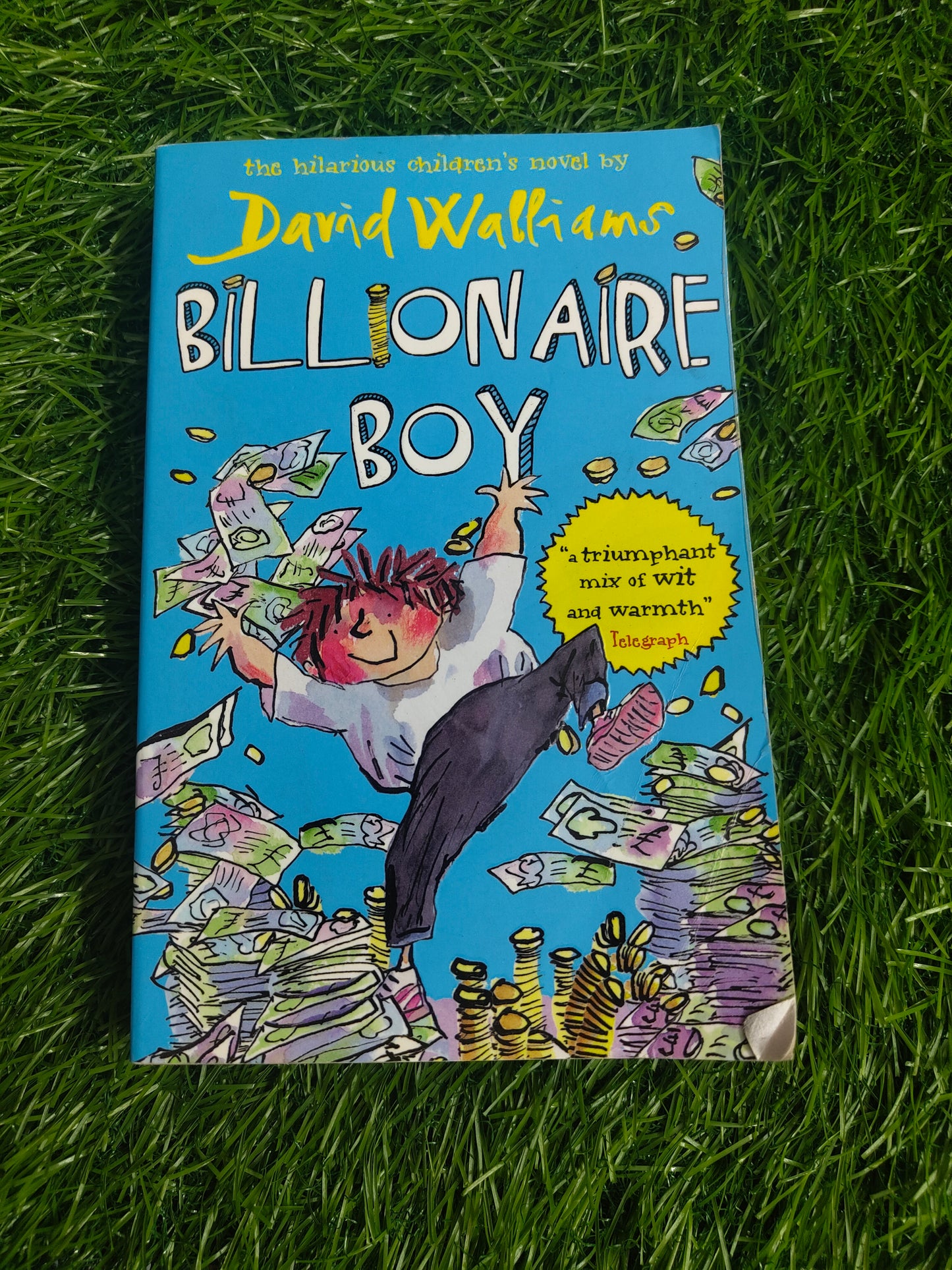 Billionaire Boy by David Walliams