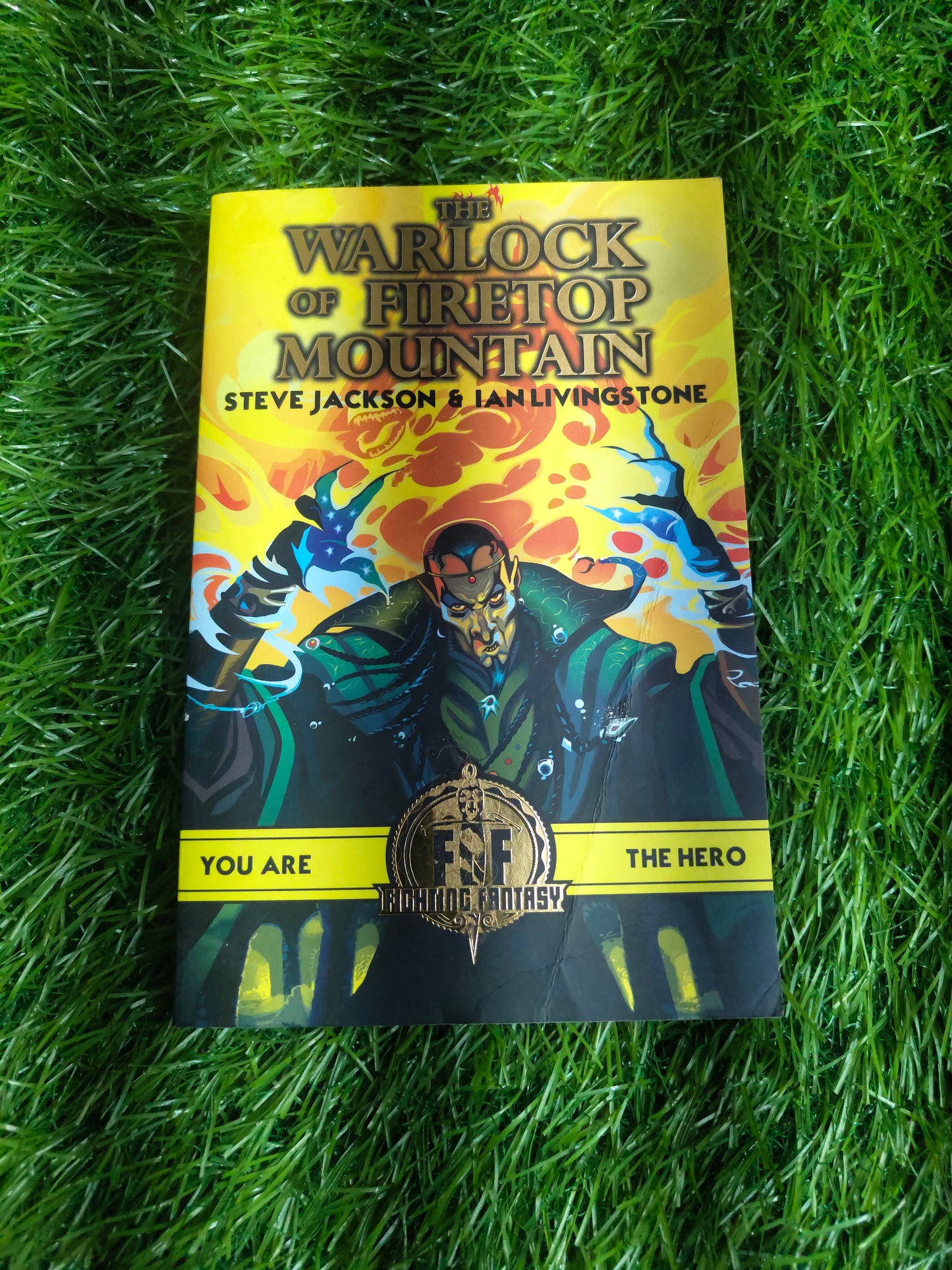 The Warlock of Firetop Mountain by Steve Jackson & Ian Livingstone