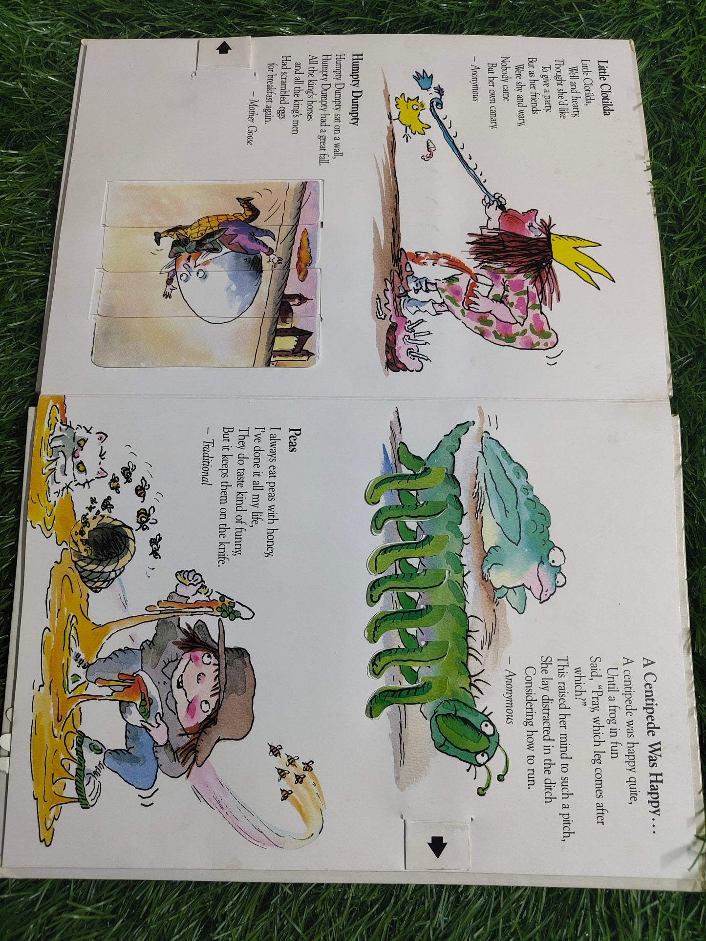 The Pop-up Book of Nonsense Verse by Tony Ross