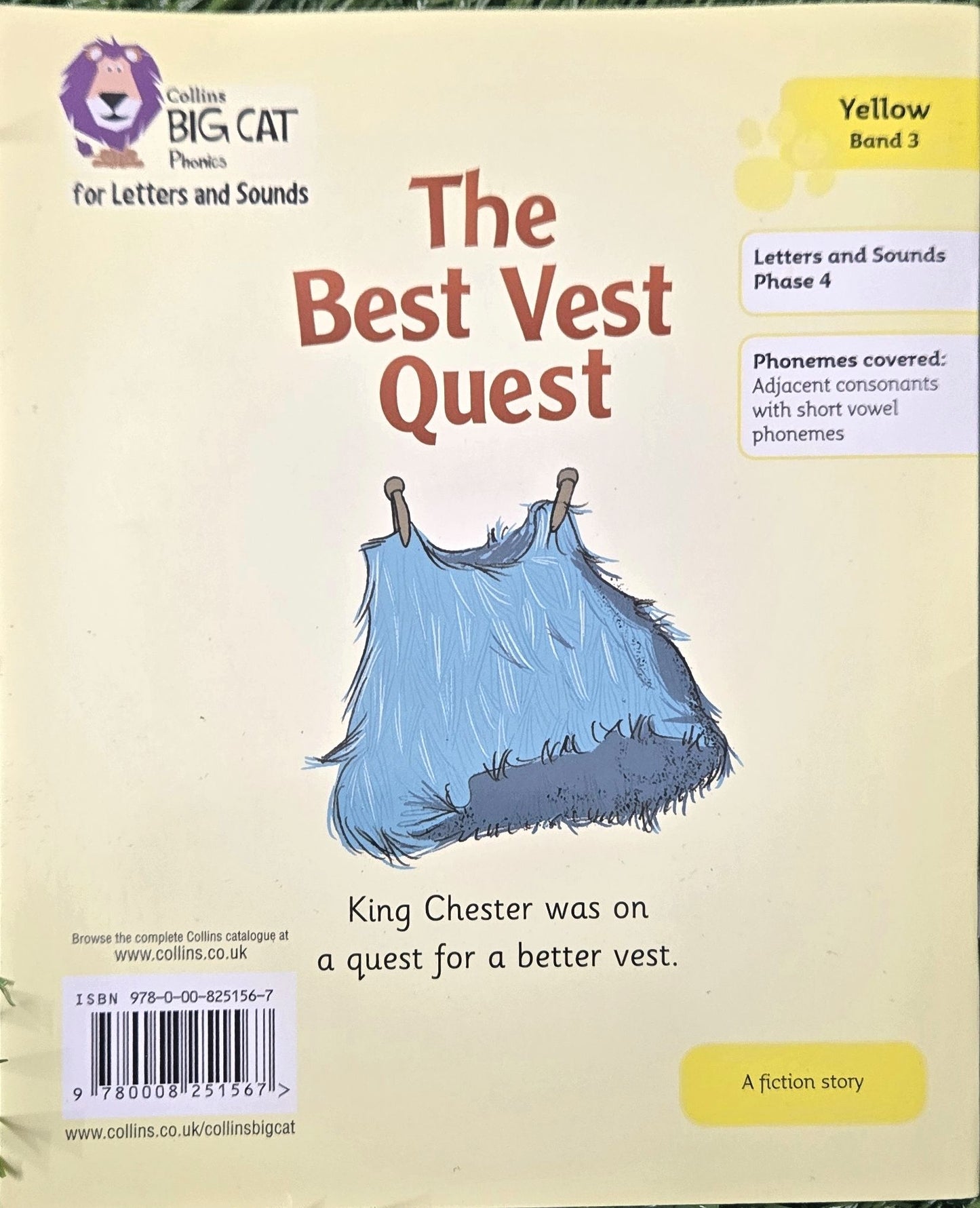 The Best Vest Quest by Alice Hemming