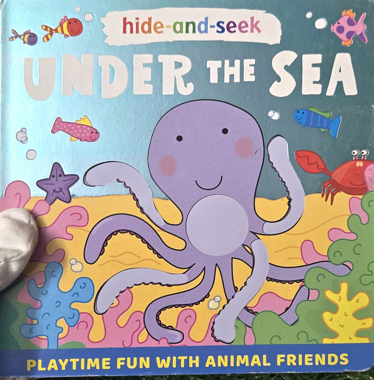 Hide and Seek: Under the Sea