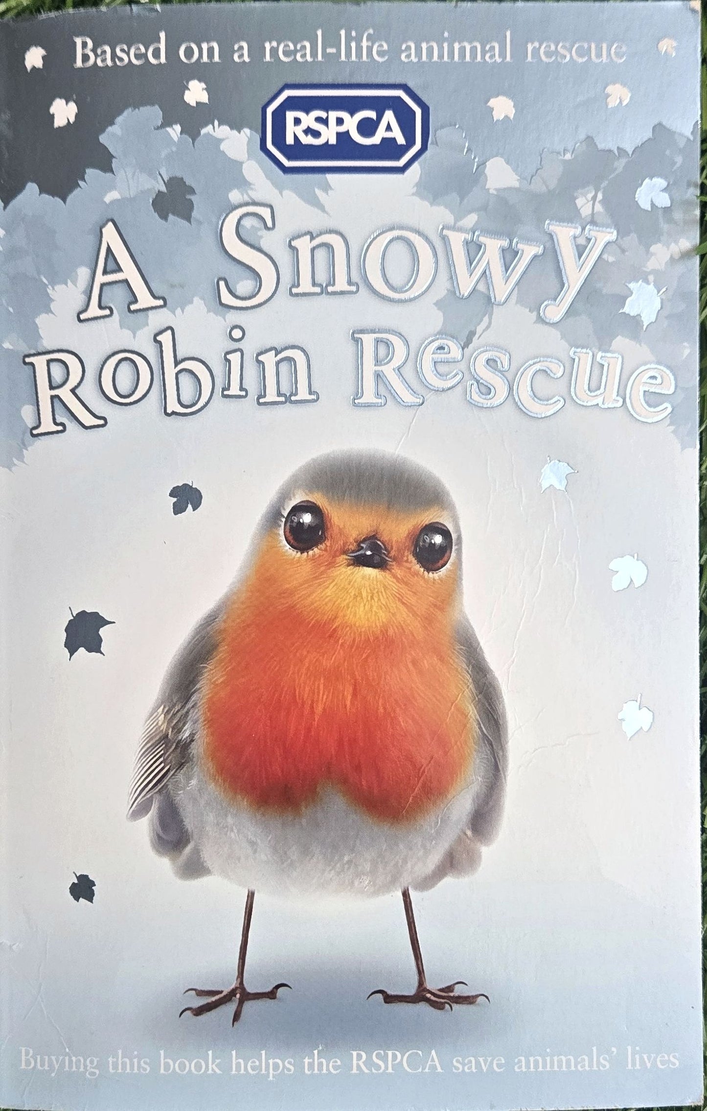 A Snowy Robin Rescue (RSPCA) by Mary Kelly