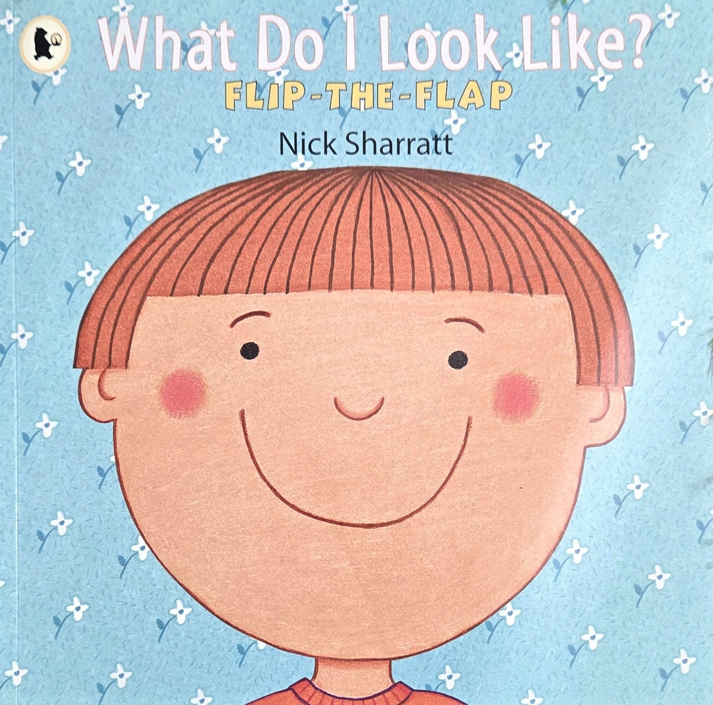 What Do I Look Like? by Nick Sharratt