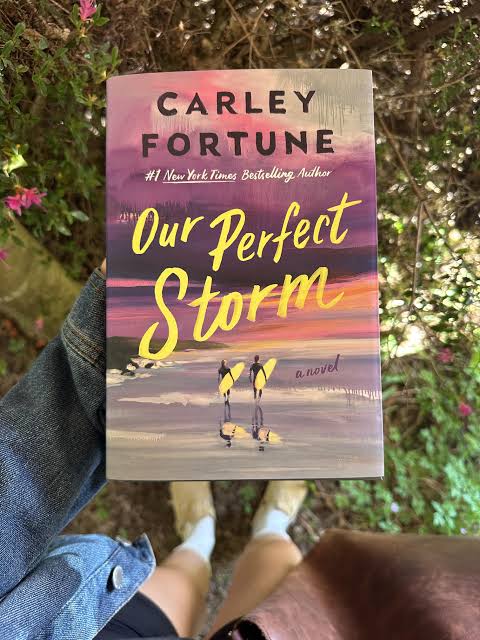 Our Perfect Storm By Carley Fortune (Paperback)