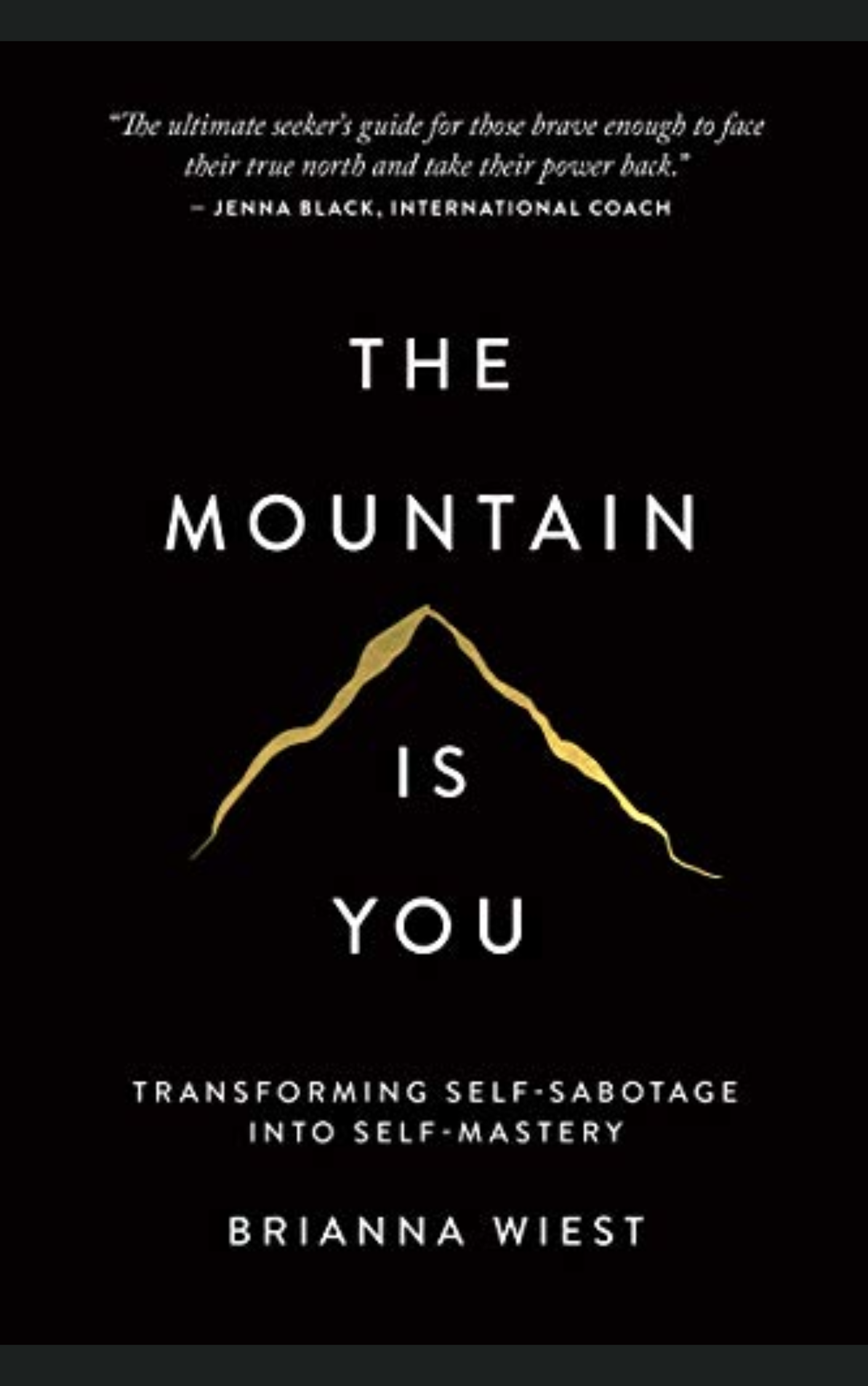 THE MOUNTAIN IS YOU by BRIANNA WIEST