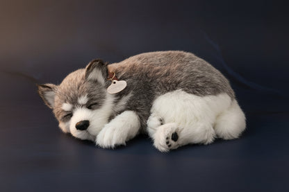 Cute Dog with realistic waving tale & Sound