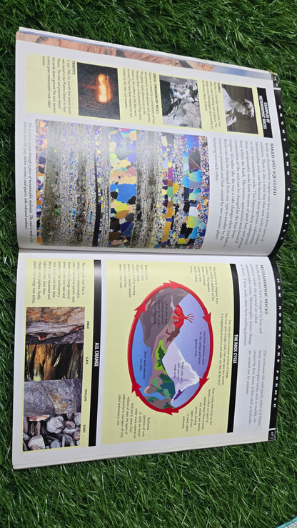 Planet Earth: Rocks and Fossils by Jim Pipe.