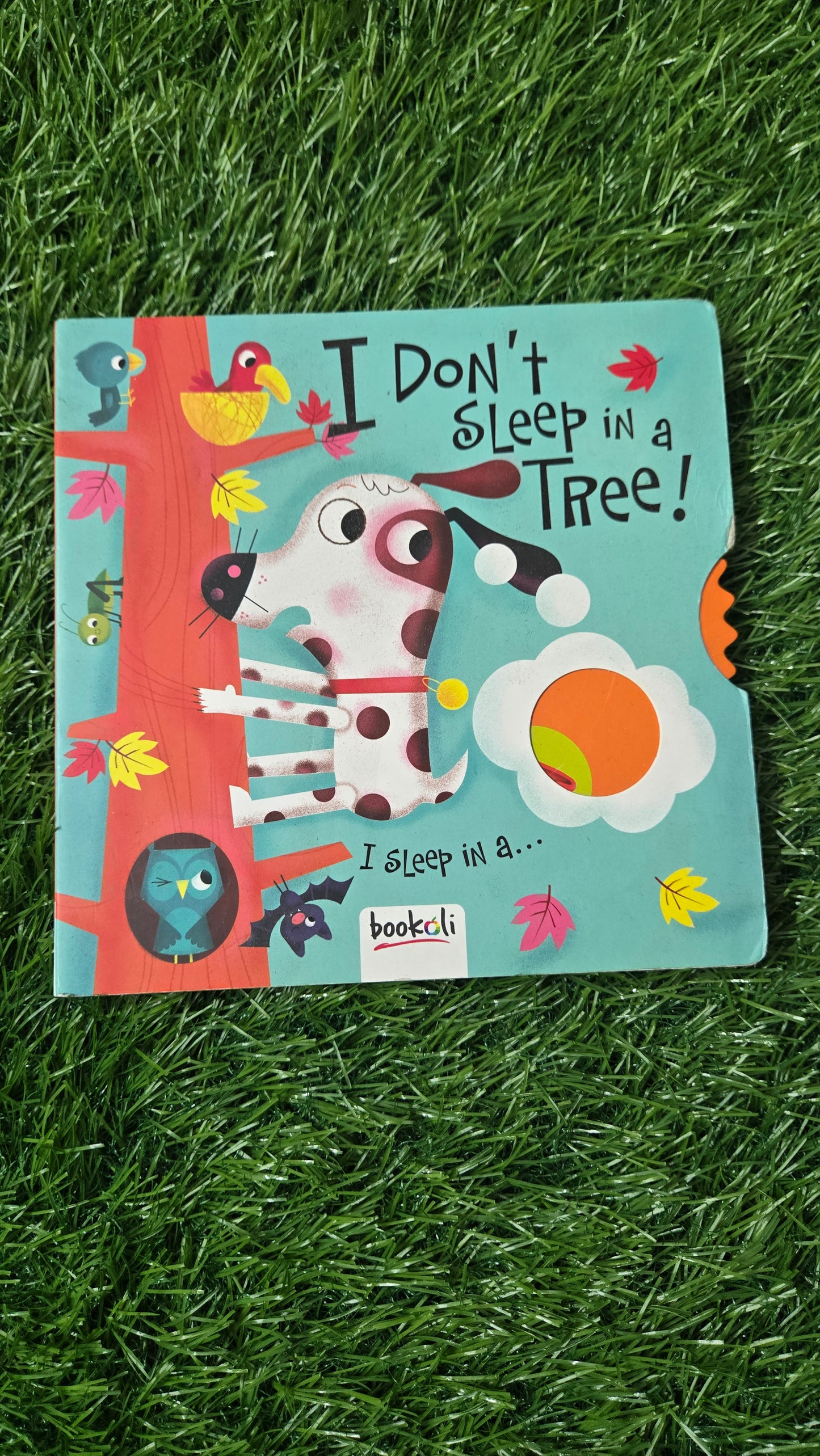 I Don’t Sleep in a Tree! By Alan Durant