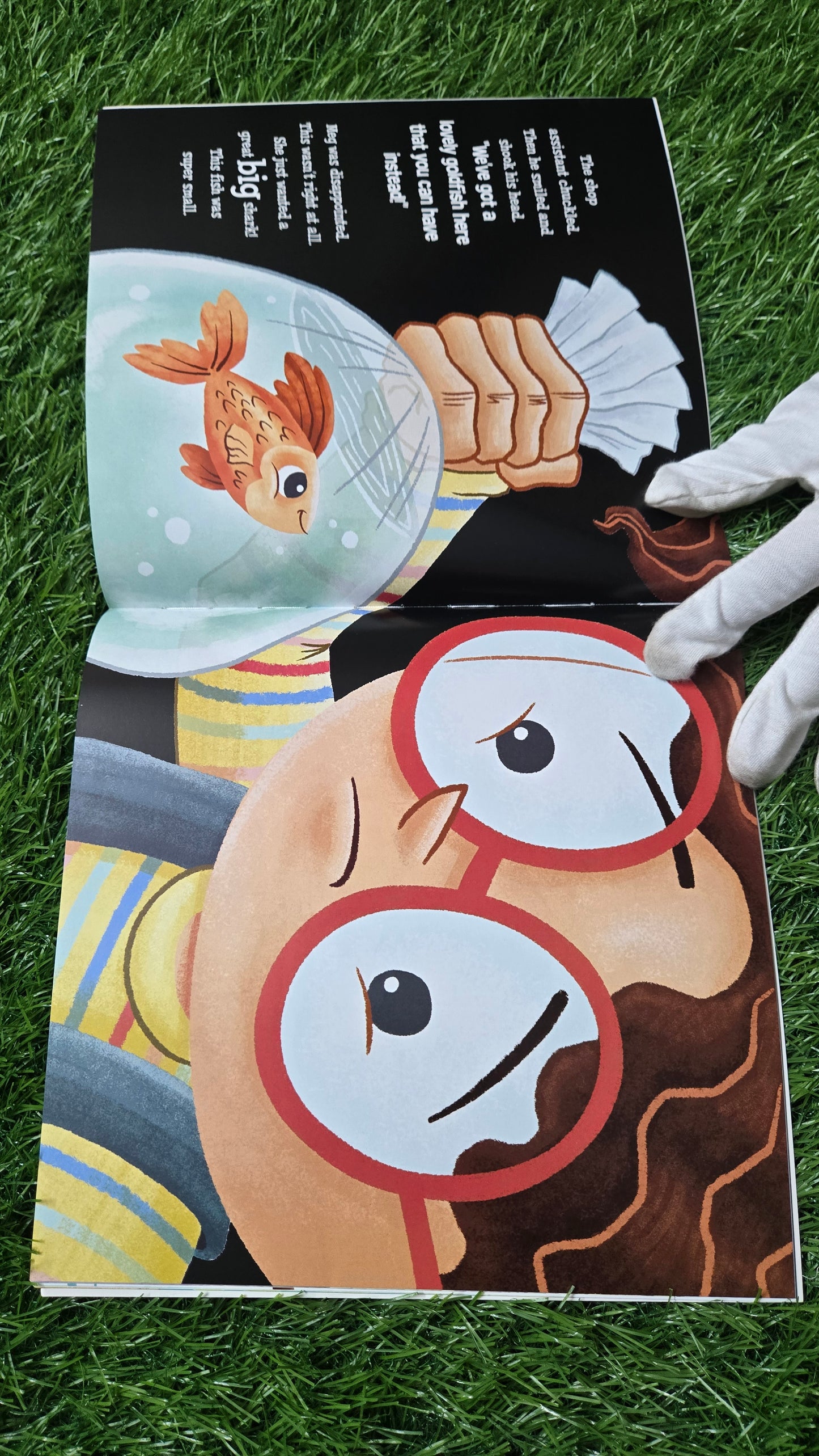 Wanted Shark (Picture Flats) by Igloo Books