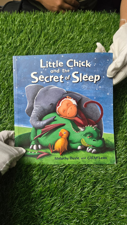 Little Chick and the Secret of Sleep by Malachy Doyle