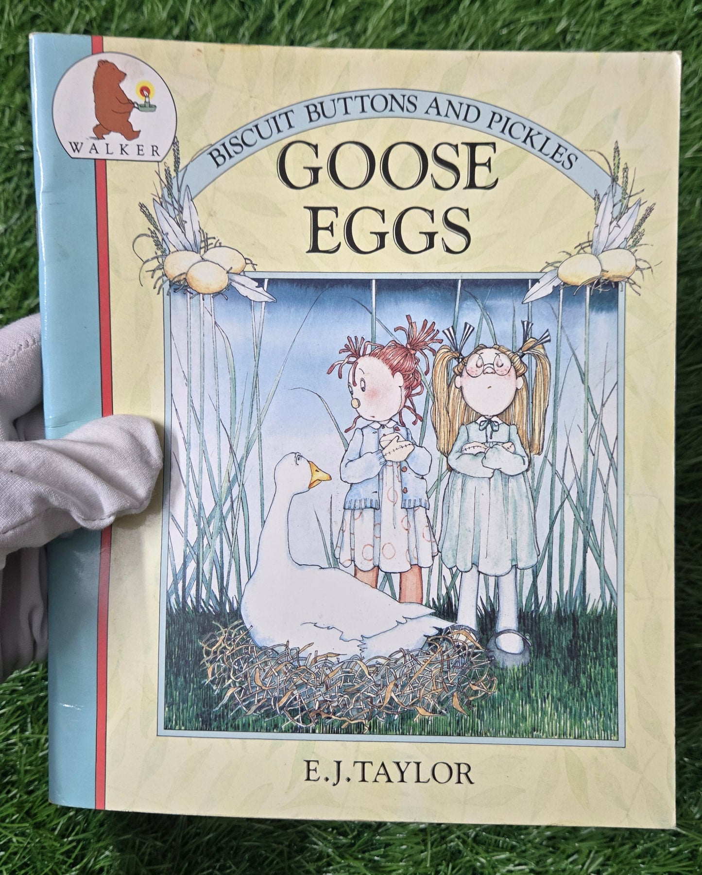GOOSE EGGS By E.J.Taylor