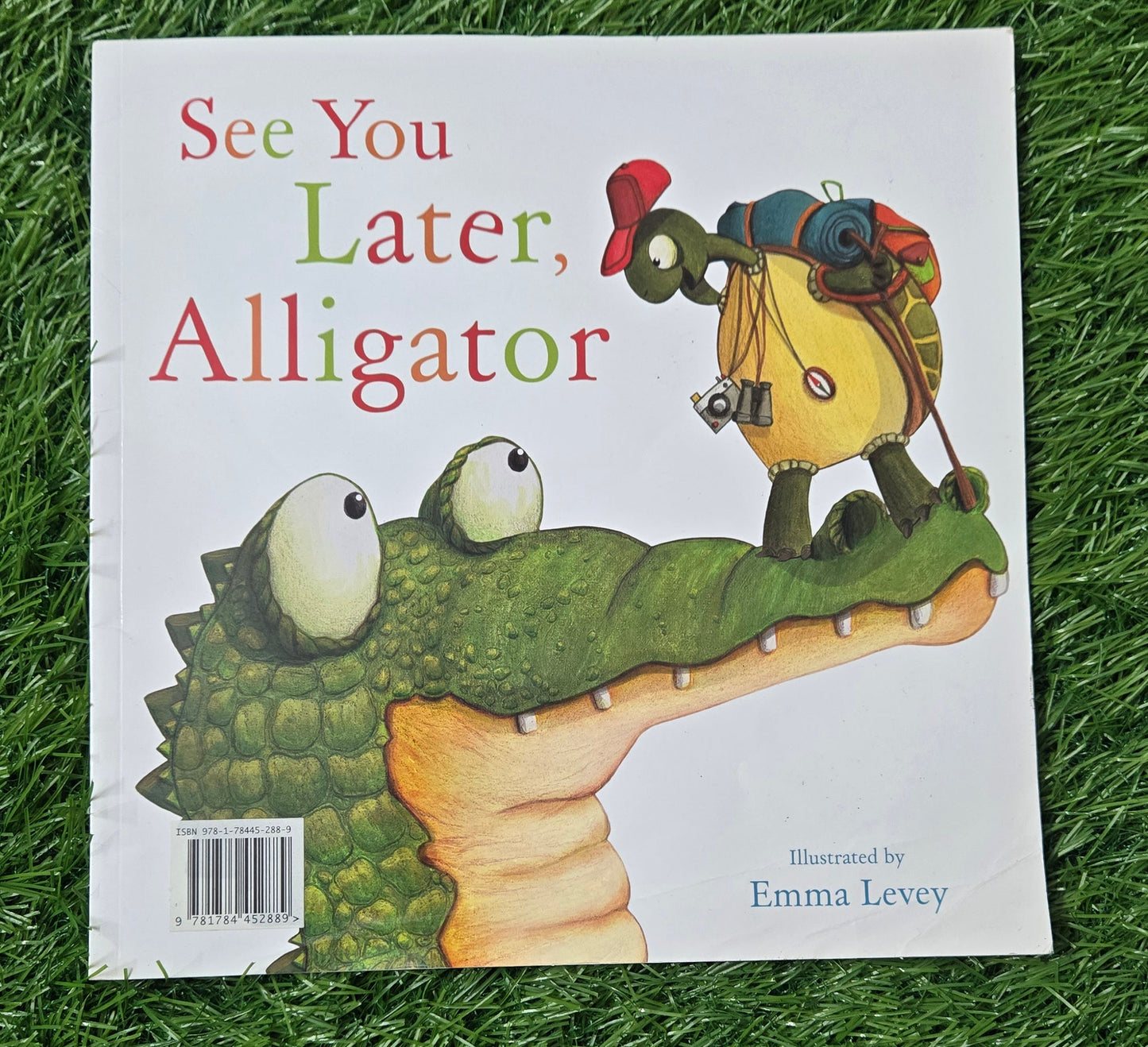 See You Later, Alligator By Sally Hopgood