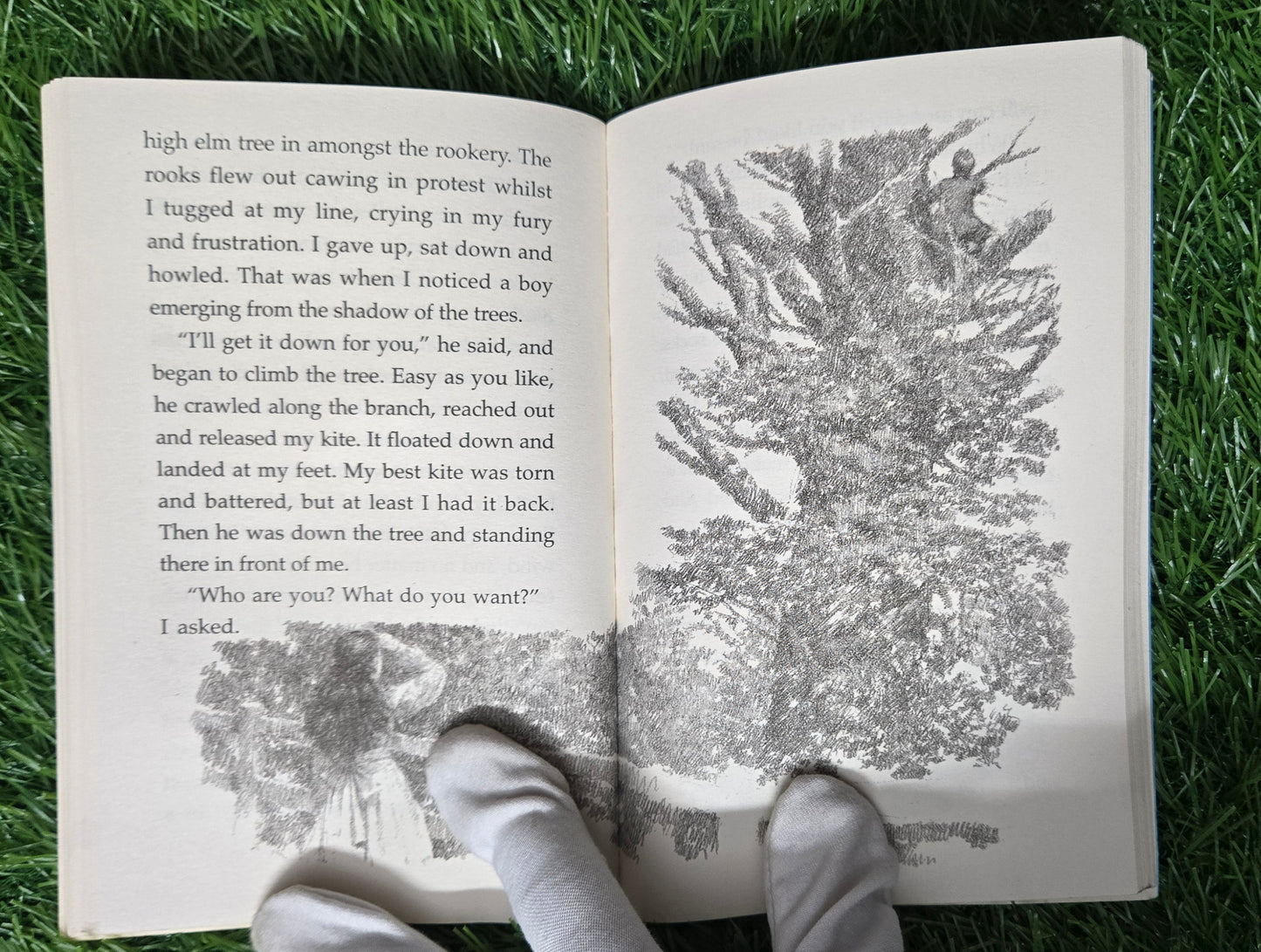 The Butterfly Lion By Michael Morpurgo