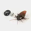 Remote Control Realistic Fake Cockroach RC Prank Insect Toy, Infrared, Scary Trick, Party Surprise Gift