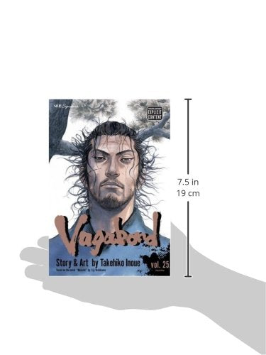Vagabond, Volume 25 By Takehiko Inoue