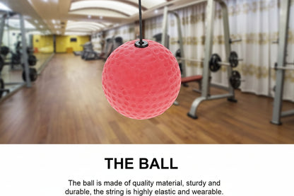 Punching Ball : Reflex Boxing Ball Training Improve Reaction Speed and Hand Eye Coordination with Headband Boxing Gear for MMA Equipment