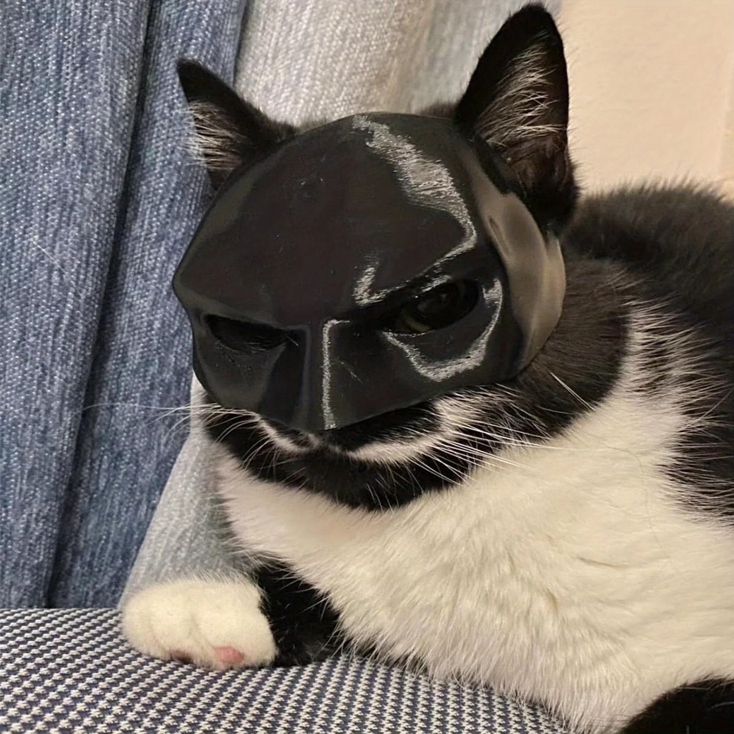 Cat Batman Mask Superhero Costume Fun Pet Prop for Cosplay Photoshoots