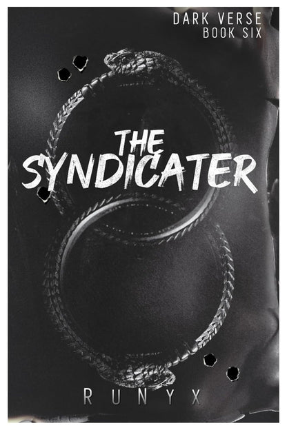 Dark Verse Series Books Set 6 Book Combo By RuNyx (HARDCOVER)