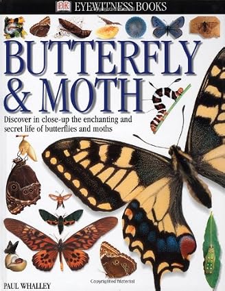 Butterfly & Moth by Paul Ernest Sutton Whalley (Paperback)