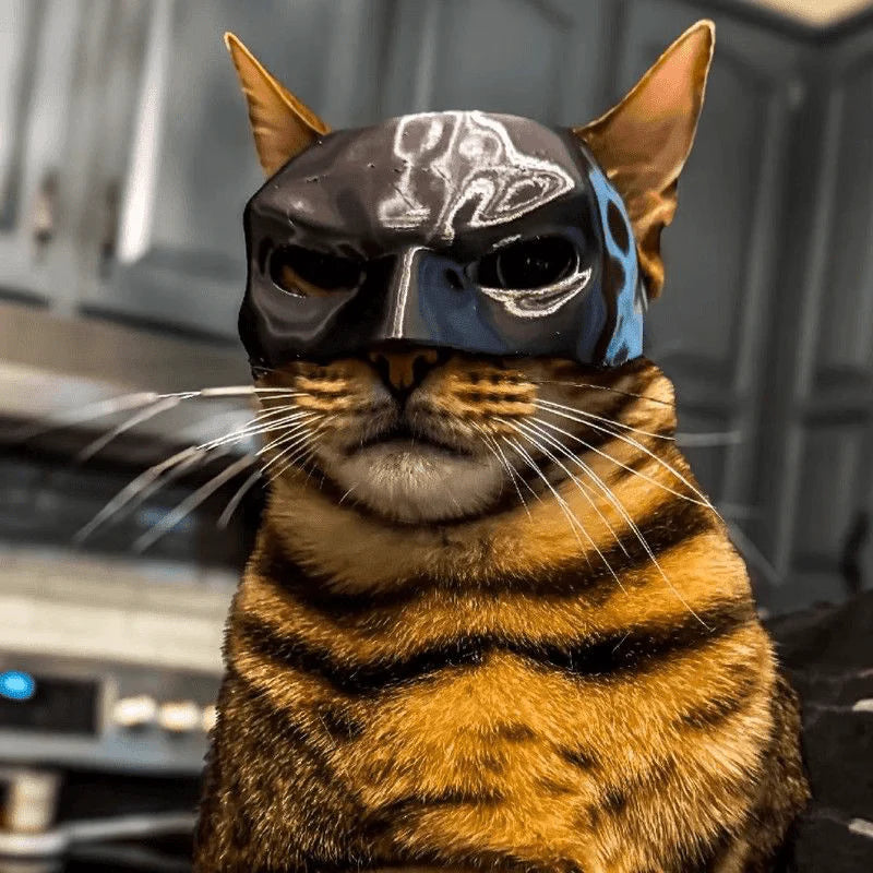Cat Batman Mask Superhero Costume Fun Pet Prop for Cosplay Photoshoots