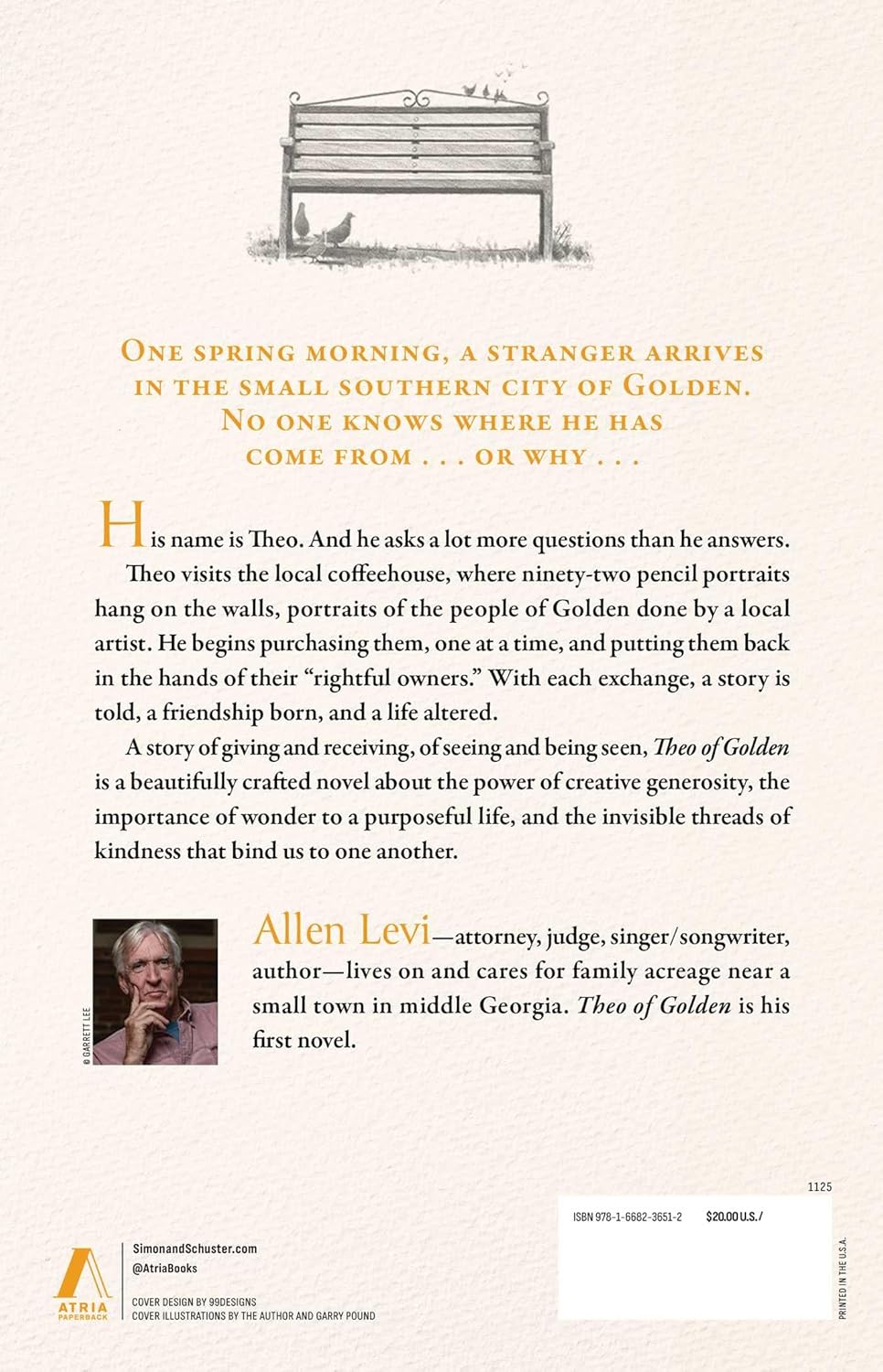 Theo of Golden: A Novel By Allen Levi (Hardcover)