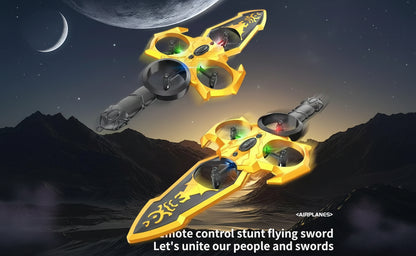 Flying Sword Remote Control Jet Airplane with 2.4GHz Controller RC Plane Fighter Aircraft Model