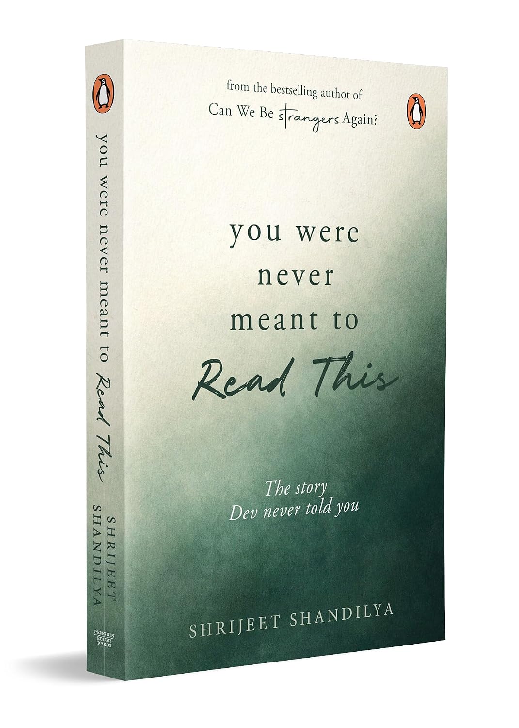 You Were Never Meant To Read This: The story Dev never told you By Shrijeet Shandilya (Hardcover)