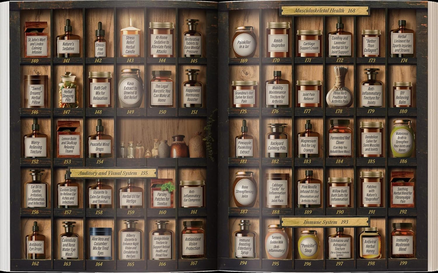 Forgotten Home Apothecary By Dr. Nicole Apelian (Paperback)