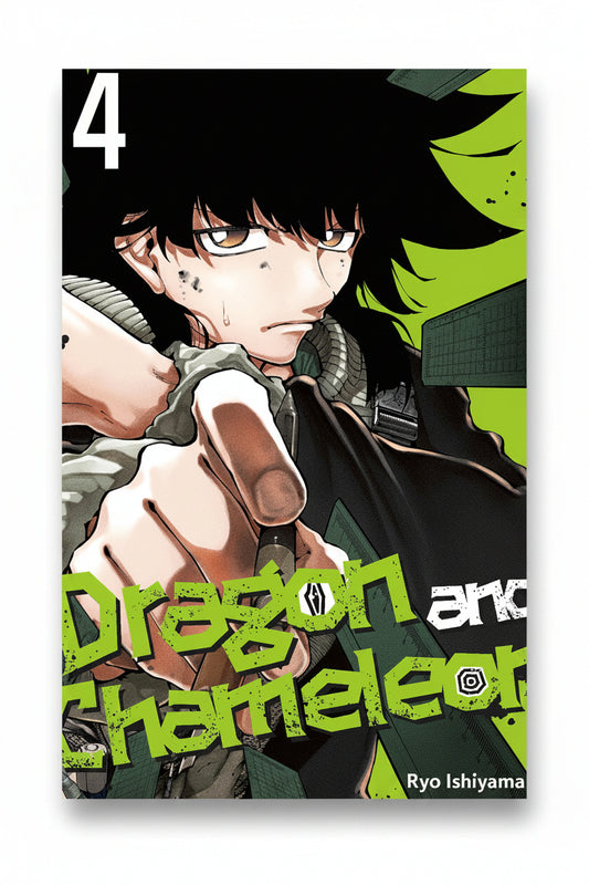 Dragon and Chameleon Vol 4 By RYO ISHIYAMA (Paperback)