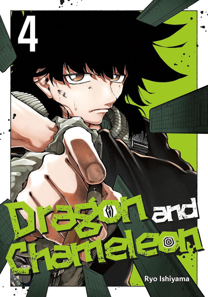 Dragon and Chameleon Vol 4 By RYO ISHIYAMA (Paperback)
