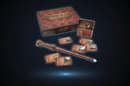Harry Potter Pictorial Art Magic Wand