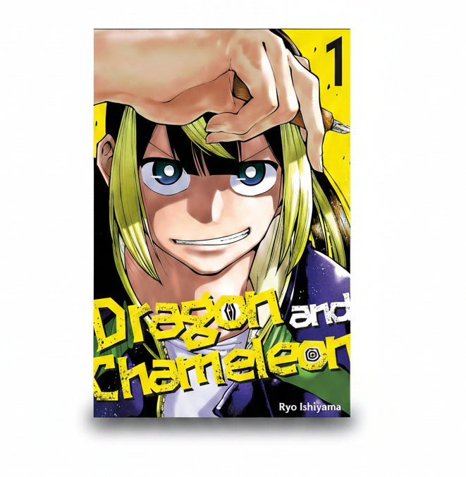 Dragon and Chameleon Vol 1 By RYO ISHIYAMA (Paperback)