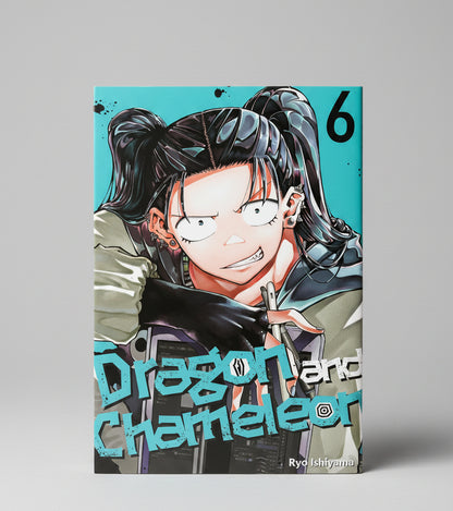 Dragon and Chameleon Vol 6 By RYO ISHIYAMA (Paperback)