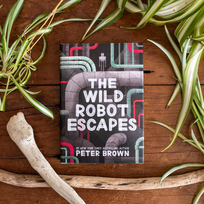 The Wild Robot Books Series Combo By Peter Brown (Hardcover)